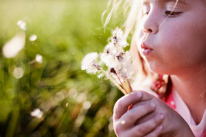 dandelion-girl