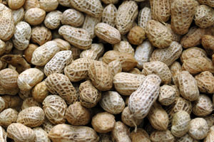 nuts