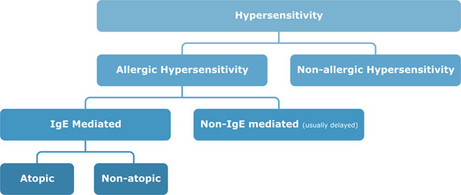 diagram-what-is-allergy